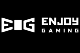 Enjoy Gaming